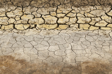 Weather Affects Cultivation