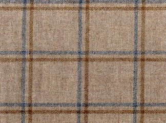 Classic ochre and light blue check wool. Expensive men's suit fabric. Virgin wool extra fine. High resolution