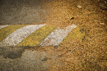 Leaves on the road, garbage