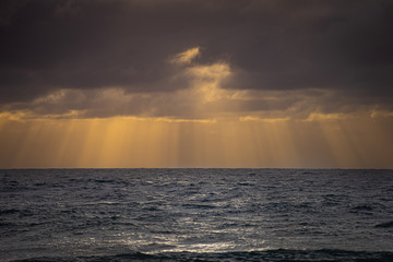 Fototapeta premium Ocean Rays