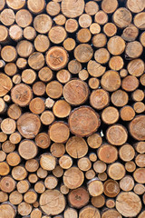 Stacked Wood Logs Pattern Background
