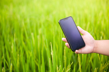 The hand of a man carrying a business phone