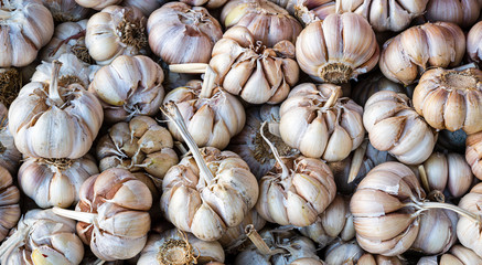 garlic on the market