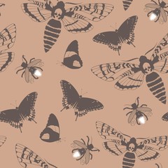 Vector seamless pattern with death head hawk moths