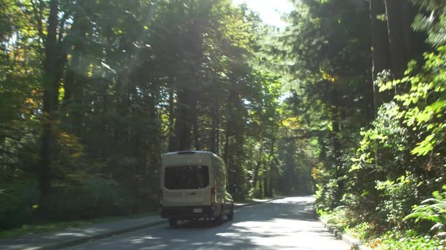 pov drive through the stanley park forest