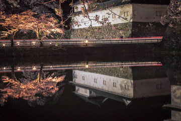 滋賀県彦根市の彦根城周辺のお堀の夜桜とリフレクションです