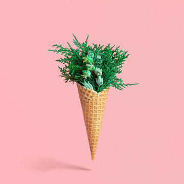 Christmas concept. Bouquet of cypress branches in ice cream cone. Isolated on pink background. Square shape