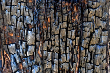 Burned wood charcoal abstract