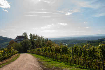 Fototapeta na wymiar Blick von Schloss Staufenberg