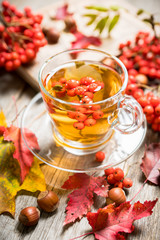 Hot tea in glass cup with rowan and atmospheric autumn decorations. Selective focus. Shallow depth of field.