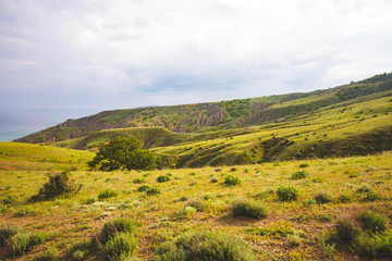 Fototapeta na wymiar Field on a hill in the mountains in Russia