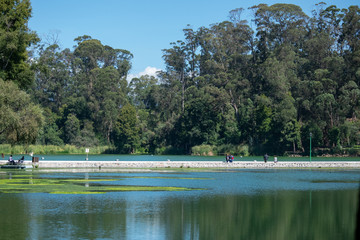 bridge crossing a lake and background trees