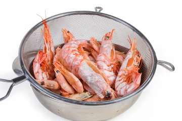 Different boiled shrimps in the stainless steel sieve close-up