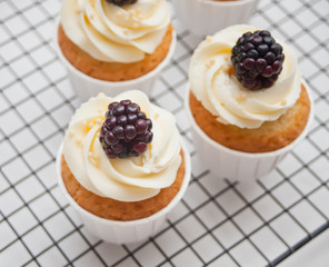 Close up cupcakes with white icing and blackberry on a metal baking rack