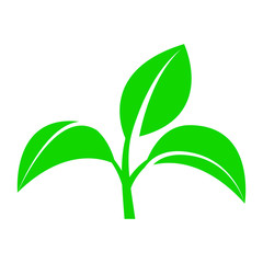 Sprout with leaves. Symbol of an environmentally friendly or rapidly degradable product that does not harm the environment. Vector illustrationble product that does not harm the environment.