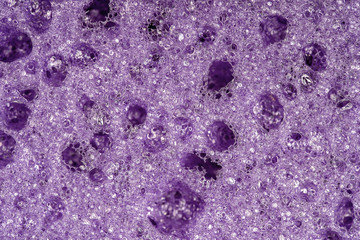 Sponge detail texture, sponge texture closeup background. Cellulose purple sponge texture