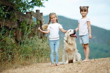 A child with a dog. Little girl plays with a dog in nature. 