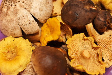 A bowl full of edible mushrooms.