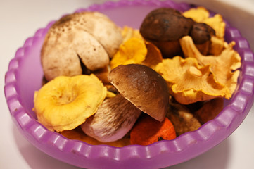 A bowl full of edible mushrooms.