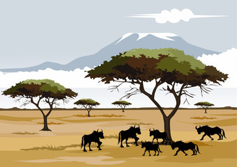 Fototapeta na wymiar savana on africa for background and image illustartion