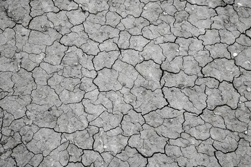 Muddy volcanoes Paclele Mari near Buzau, Romania. Mud and natural-gas eruptions create small volcanoes in natural reserve. Out of focus.