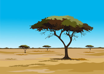 savana on africa for background and image illustartion © maxwarni creative