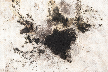 Black mold on a white wall. Closeup of mold wall with fungus