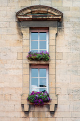 Fototapeta na wymiar Two windows with flowers