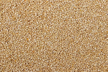 Dried Corn or Maiza texture and background.