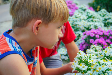 Boy sniffing flowers in a park in a flower garden