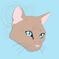 vector illustration of a portrait of a cat on a colored background