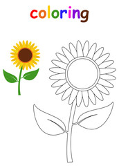 Sunflower vector illustration concept coloring for kids design vector
