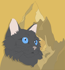 vector illustration of a portrait of a cat on a colored background