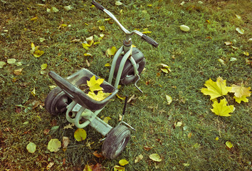 Child bike with autumn leaves, toned