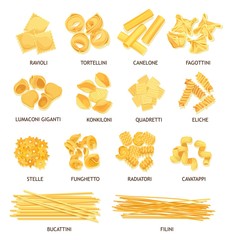 Italian pasta, spaghetti, fusilli and macaroni