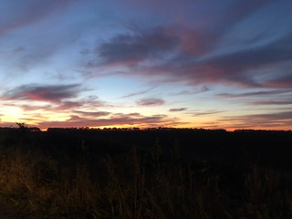 sunset over field