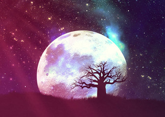 Fototapeta na wymiar Lone tree over planet and starry sky