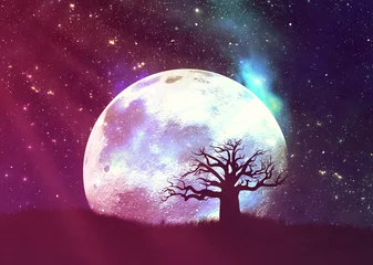 Papier Peint photo Pleine Lune arbre Arbre isolé sur la planète et le ciel étoilé