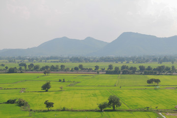 landscape with green fields and mountains