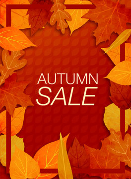 Autumn sale background layout decorate with leaves for shopping sale or promo poster and frame leaflet or web banner. Vector illustration template.