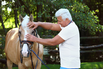 Senior veterinarian examining palomino horse outdoors on sunny day