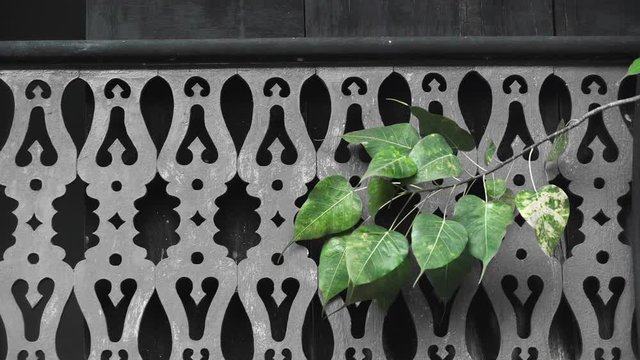 Balcony Pattern Calm Wind Stick of Green Bodhi Leaf   