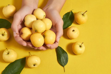 On a yellow background female hands with yellow apples. Vitamins, proper nutrition