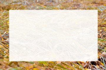 Frame for greeting card with white background on the dry grass of the Autumn theme.