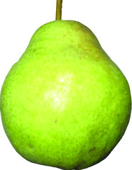 pear vector isolated