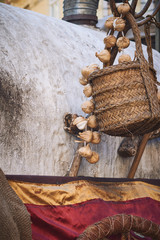 basket with garlic hanging from a horse-drawn cart