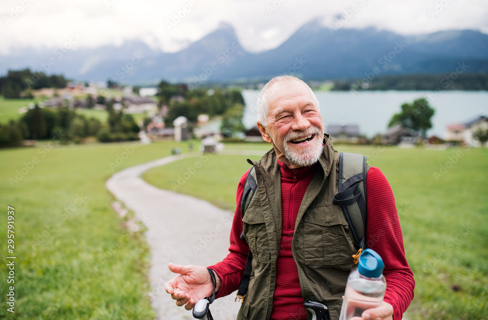 Wall mural Senior man with nordic walking poles hiking in nature, resting.