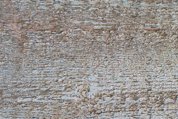Texture of an old dry board with cracked faded paint, background.