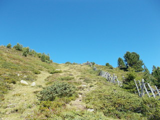 Fototapeta na wymiar Bergwanderung