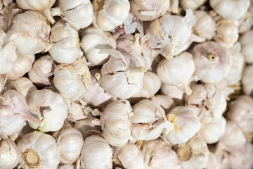 Close-up of fresh heads of garlic in store